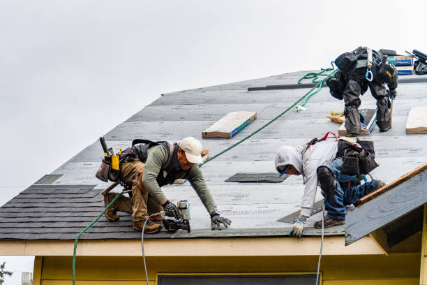 Professional Roof Repair technician working in Tyler Hill, PA